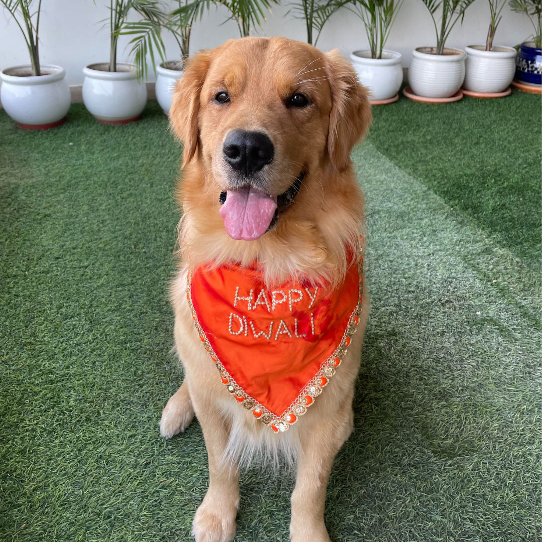 Happy Diwali embroidered dog bandana