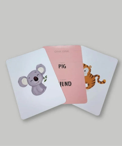 Gujarati-English Flash Cards Bundle