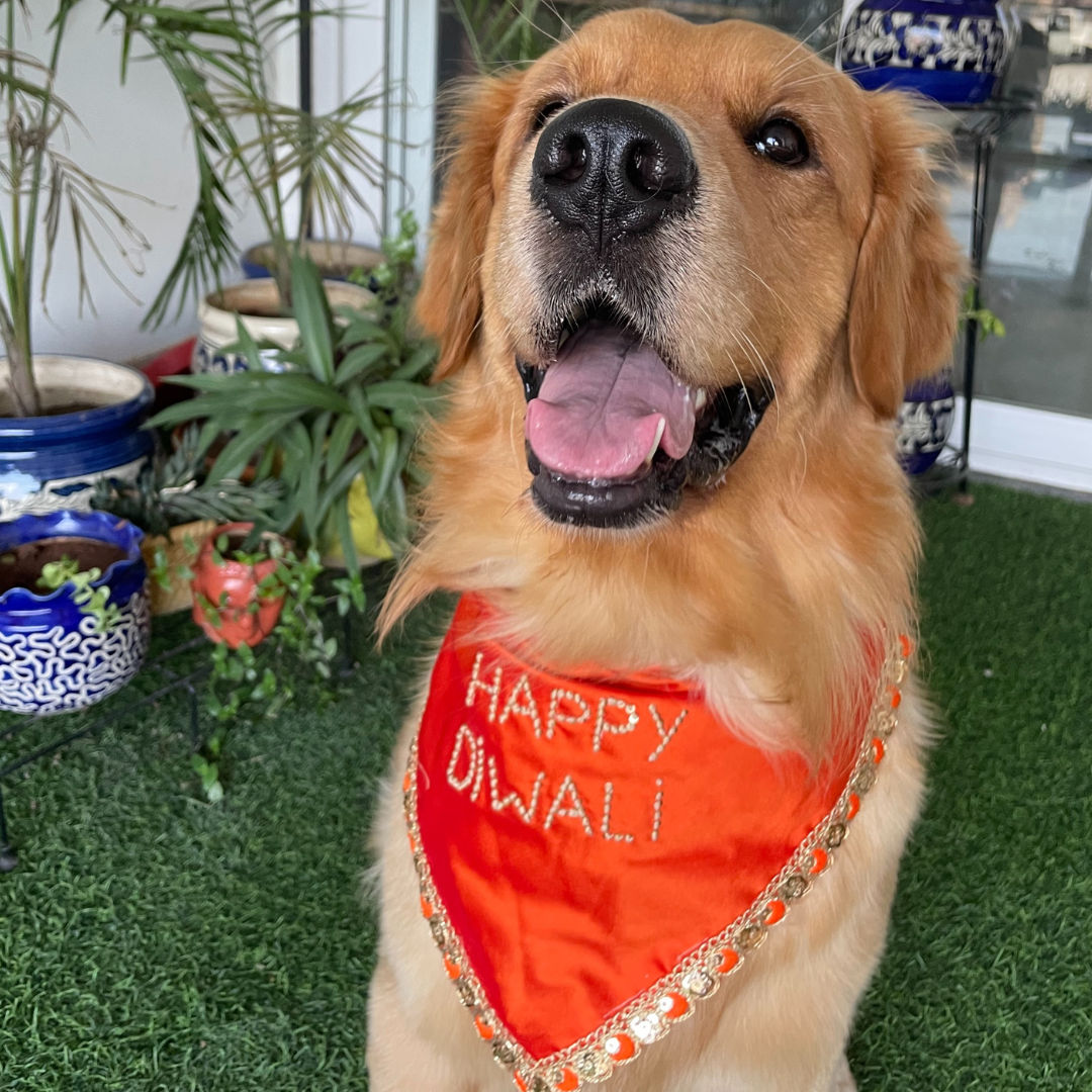 Happy Diwali embroidered dog bandana