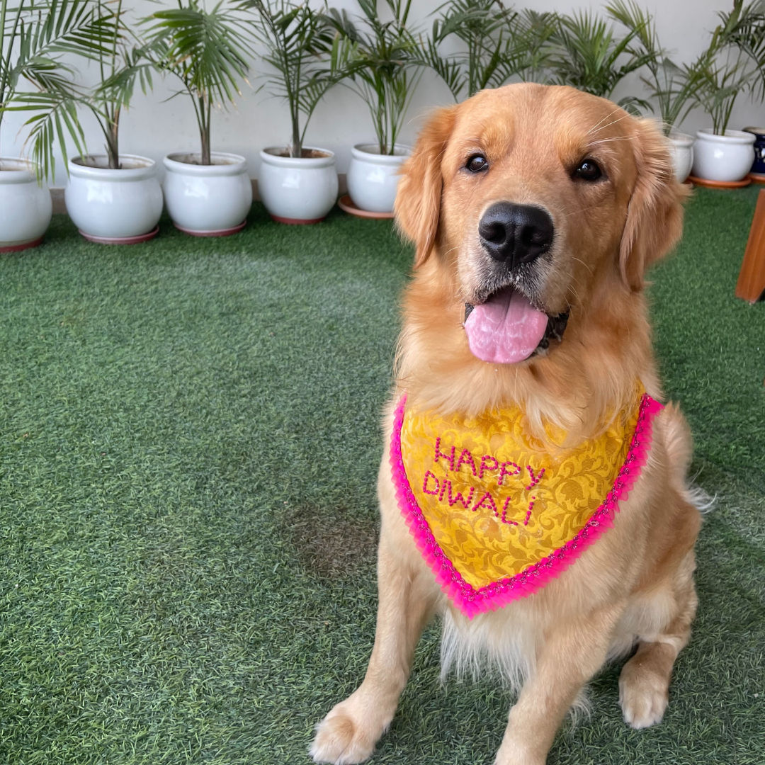 Happy Diwali embroidered dog bandana