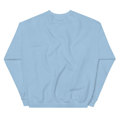 Washington D.C. Fabric Skyline Sweatshirt